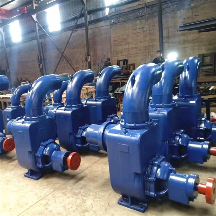 WFB Series Seal-free Self-priming Pump factory